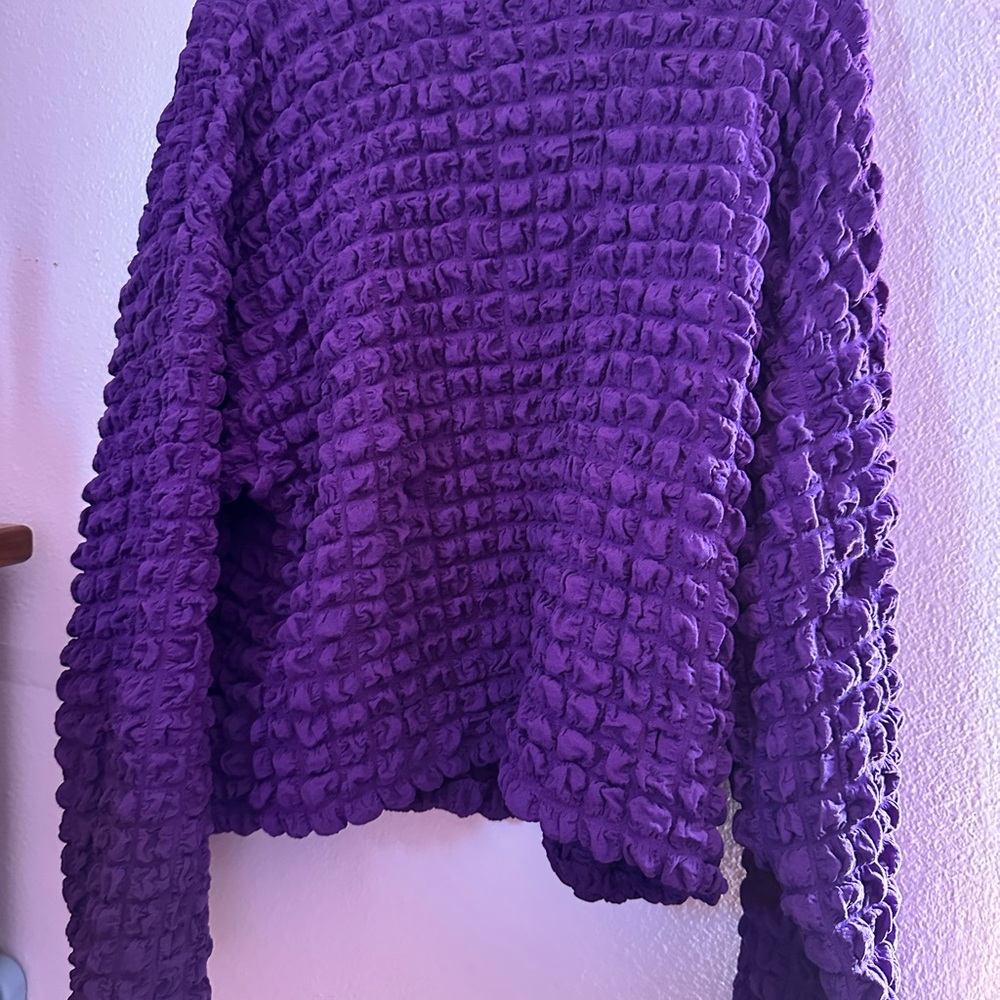 Purple Textured Women's Sweater
